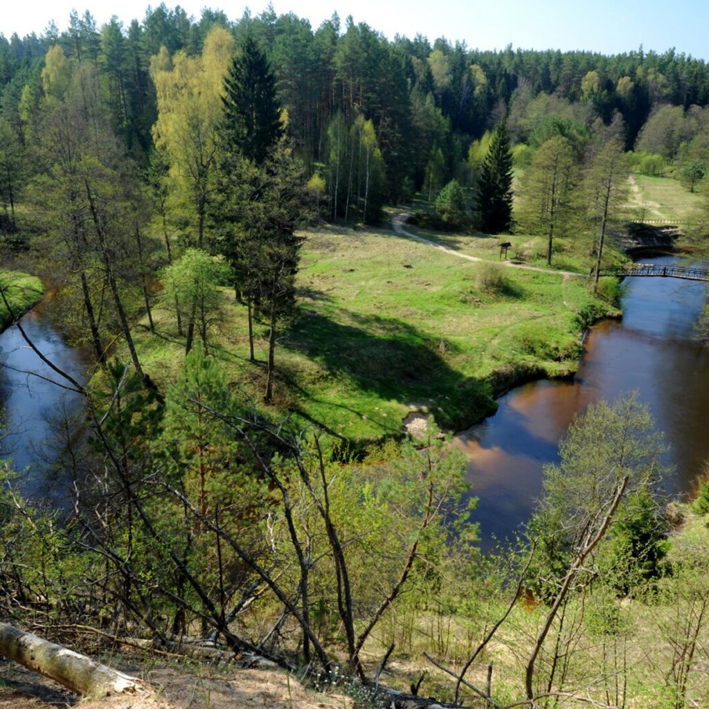 Ūlos labirintai – laukinės gamtos iššūkis