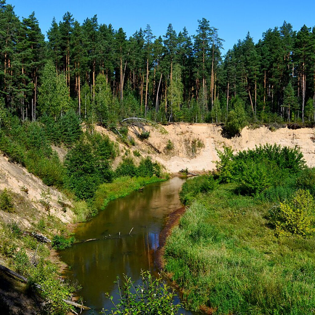 Ūlos skardžių ekspresas – peizažų fiesta