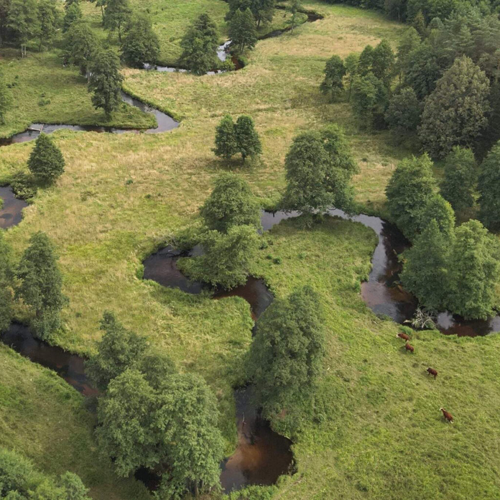 Grūdos tylioji pusė