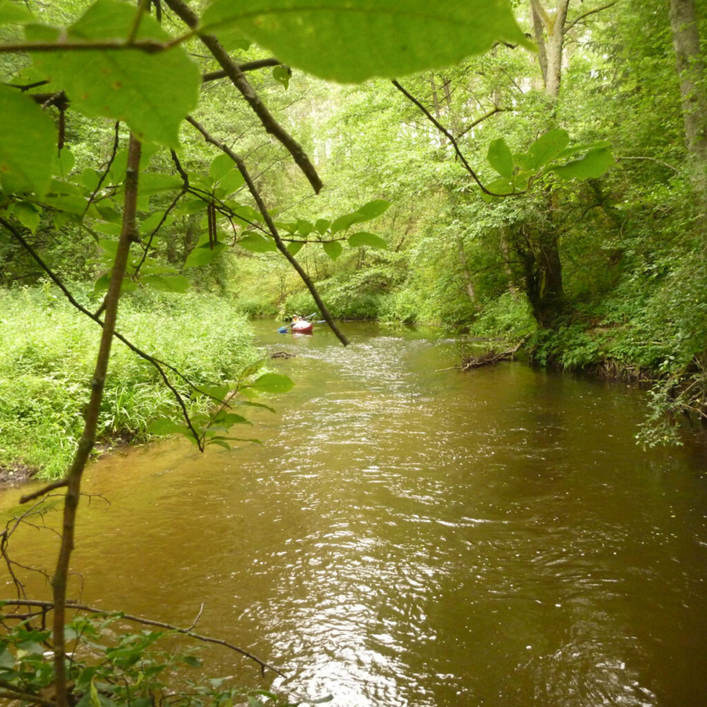 Verseka be ribų – trumpa, bet spalvinga
