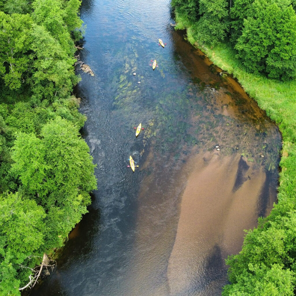 Dzūkijos širdis – Merkio aukštupys